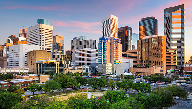 City skyline with trees